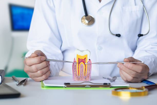 Best Emergency Tooth Extraction in Reed Creek, GA
